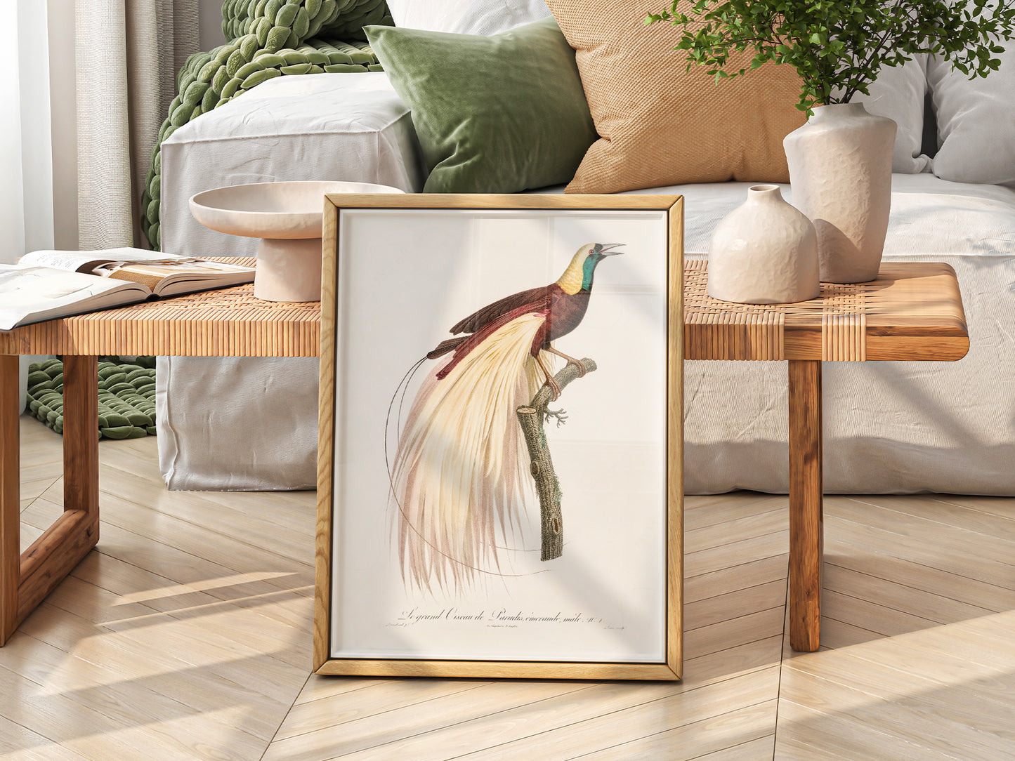 Emperor Bird of Paradise vintage art print featuring flowing cream plumage and rich burgundy feathers in classic ornithology style.