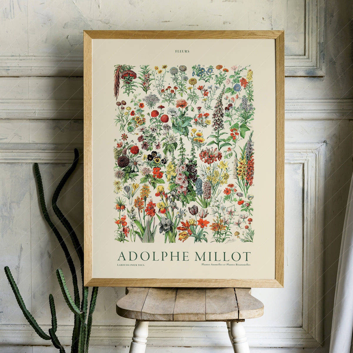Adolphe Millot Poster, Vintage Floral Illustration Prints