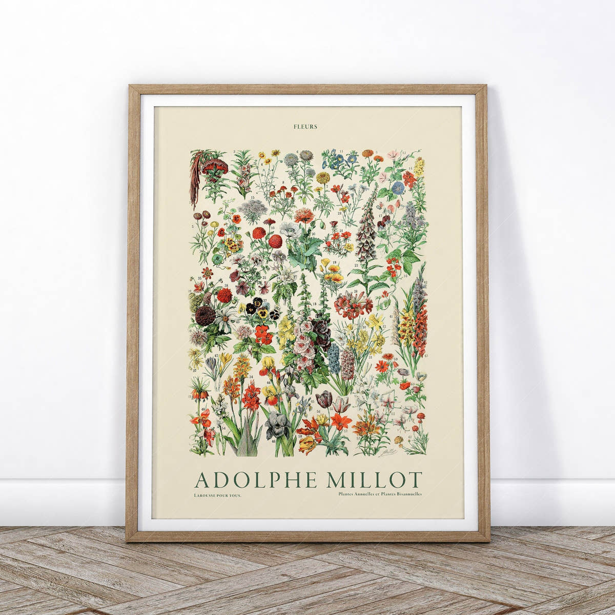Adolphe Millot Poster, Vintage Floral Illustration Prints