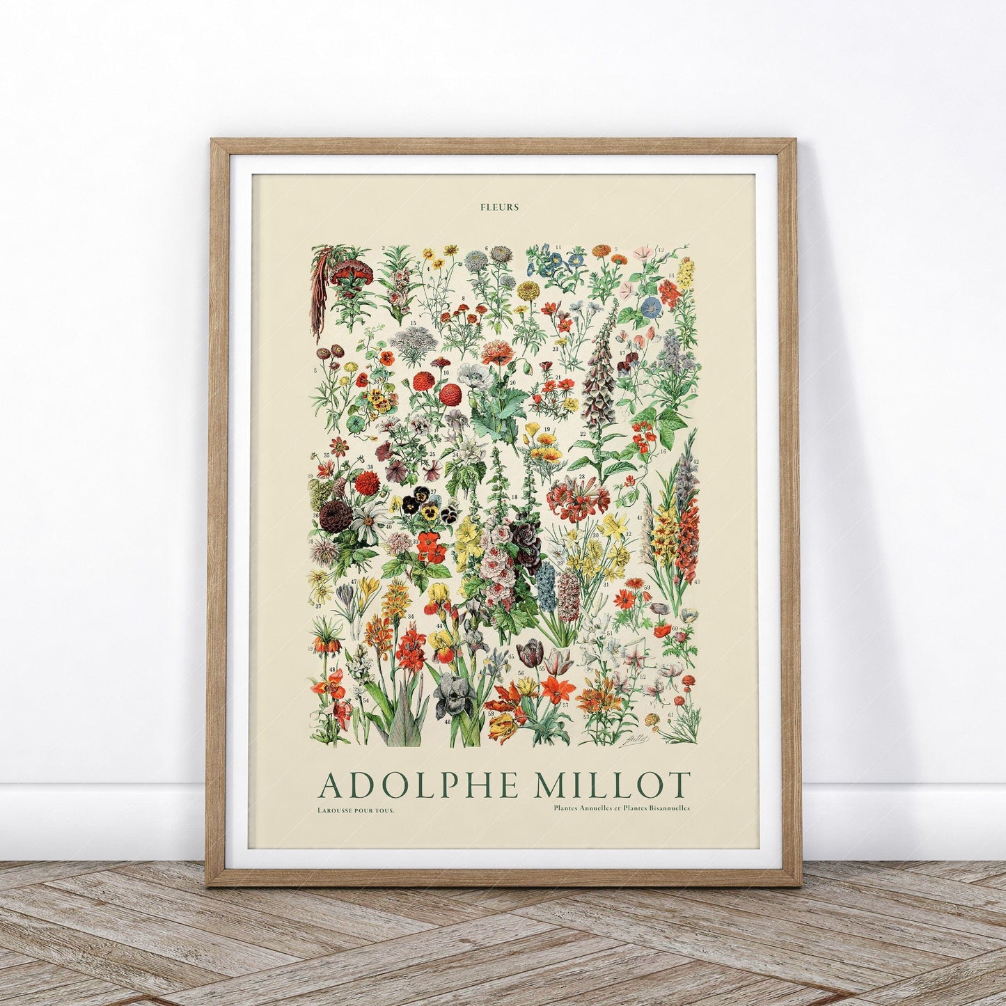 Adolphe Millot Poster, Vintage Floral Illustration Prints