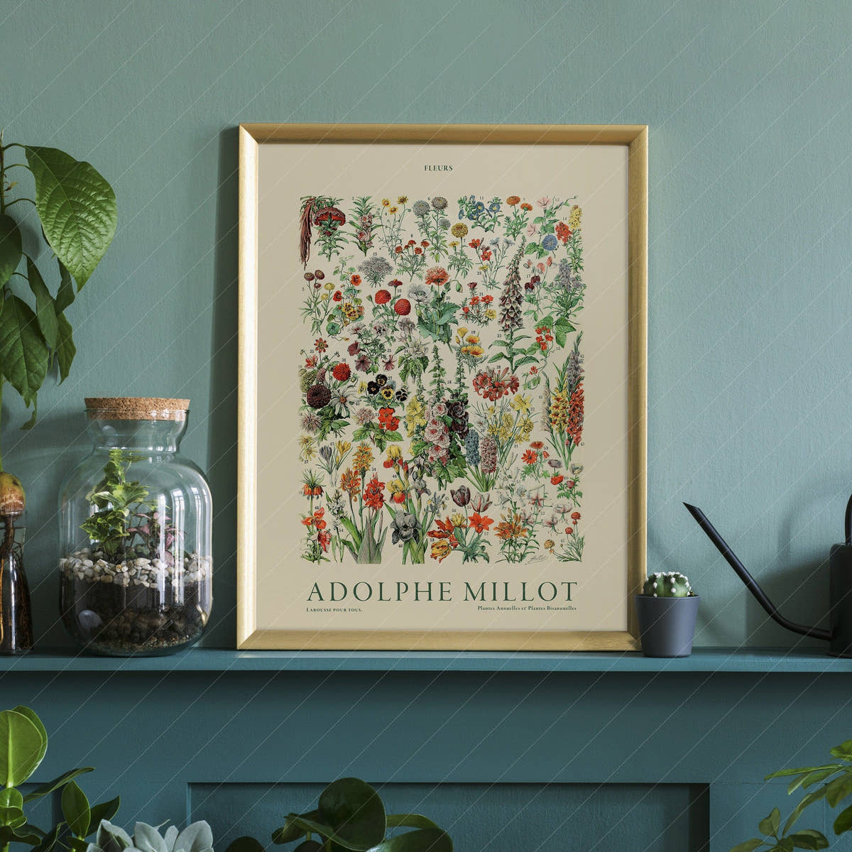 Adolphe Millot Poster, Vintage Floral Illustration Prints