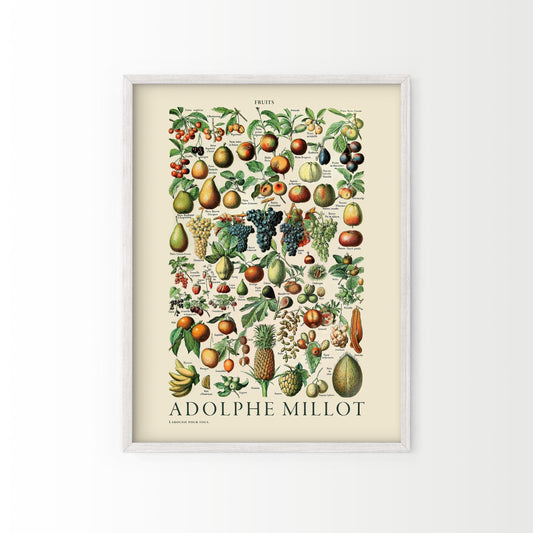 Adolphe Millot Poster, Vintage Fruits Illustration Prints