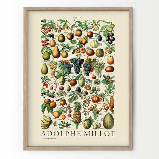 Adolphe Millot Poster, Vintage Fruits Illustration Prints