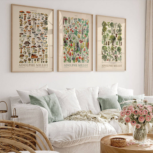 Adolphe Millot botanical print set of three featuring vintage mushrooms, flowers, and trees wall art.