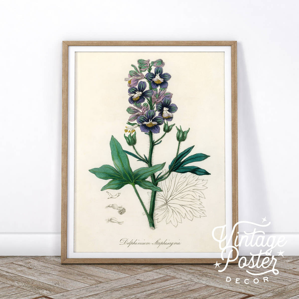 Botanical Floral Art Print, Vintage Flower Poster