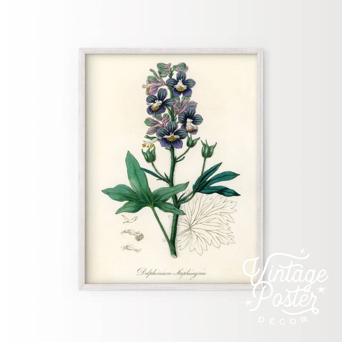 Botanical Floral Art Print, Vintage Flower Poster