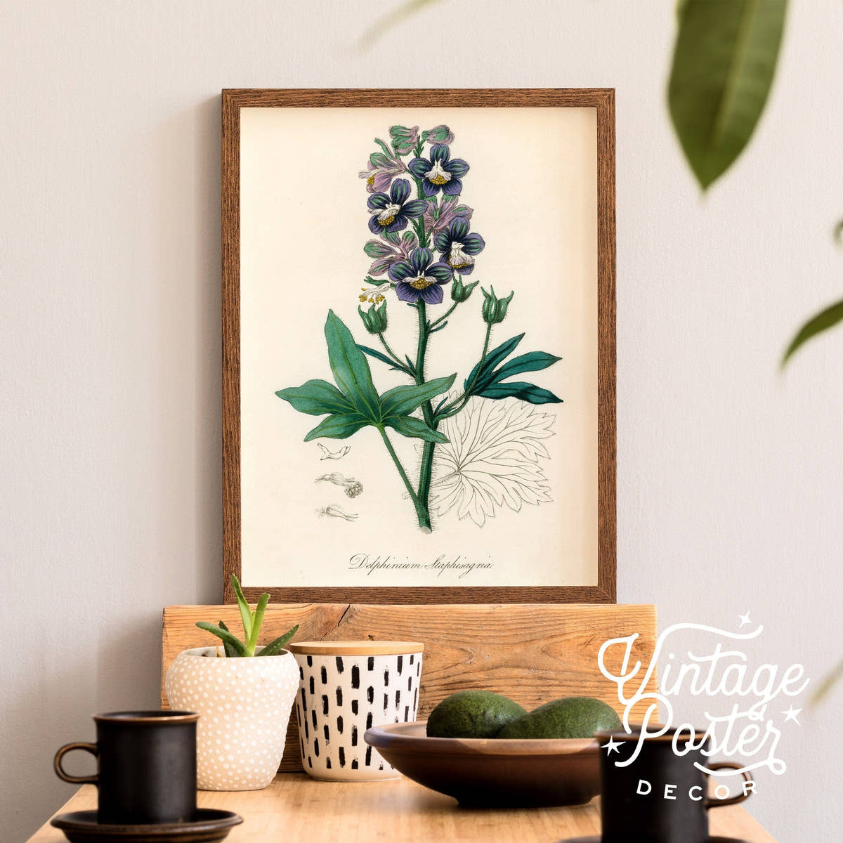 Botanical Floral Art Print, Vintage Flower Poster