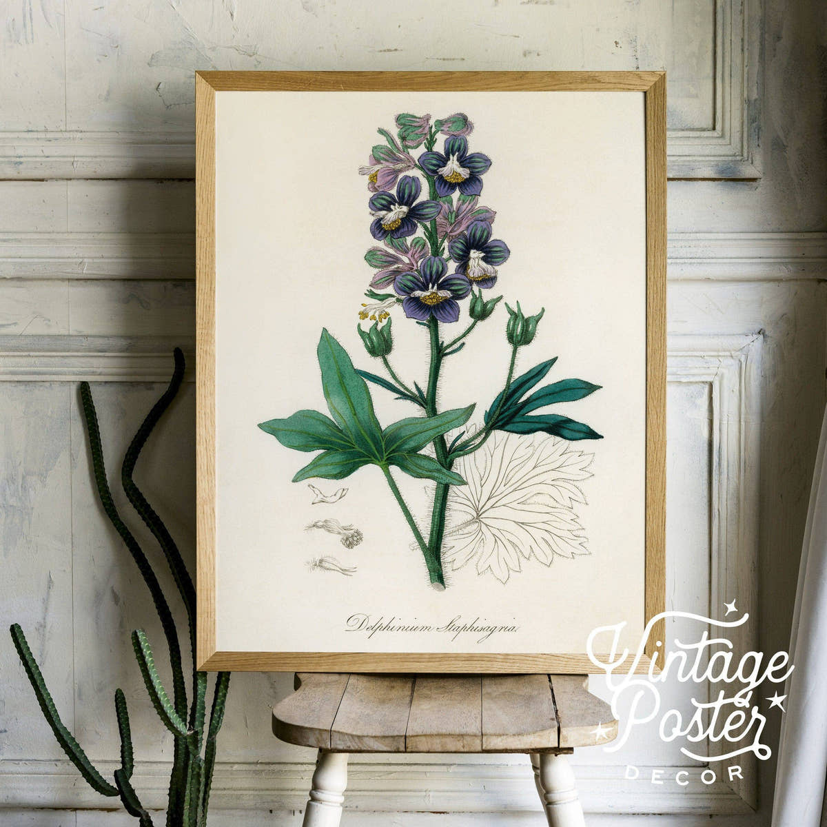 Botanical Floral Art Print, Vintage Flower Poster