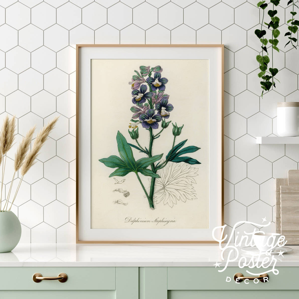Botanical Floral Art Print, Vintage Flower Poster