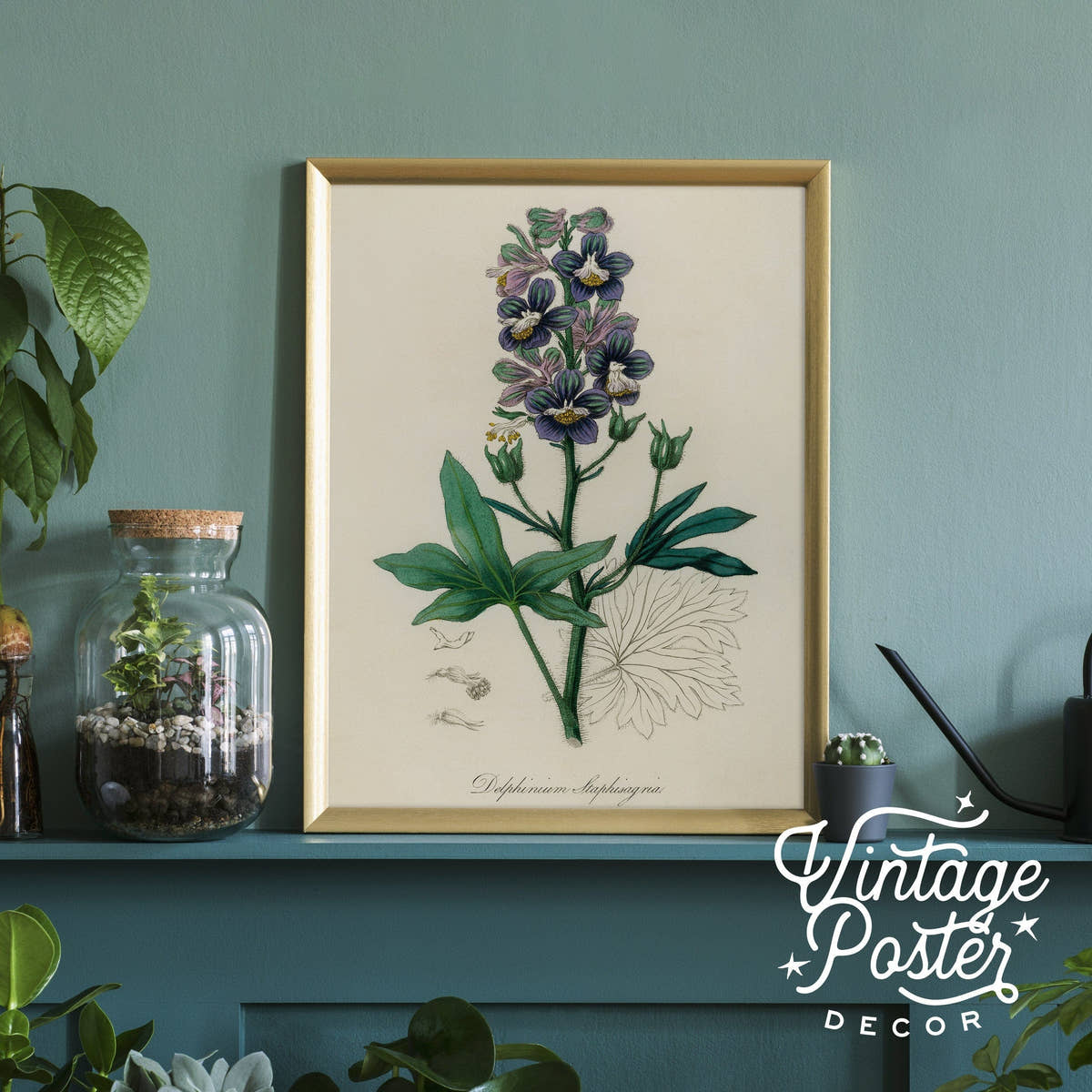 Botanical Floral Art Print, Vintage Flower Poster