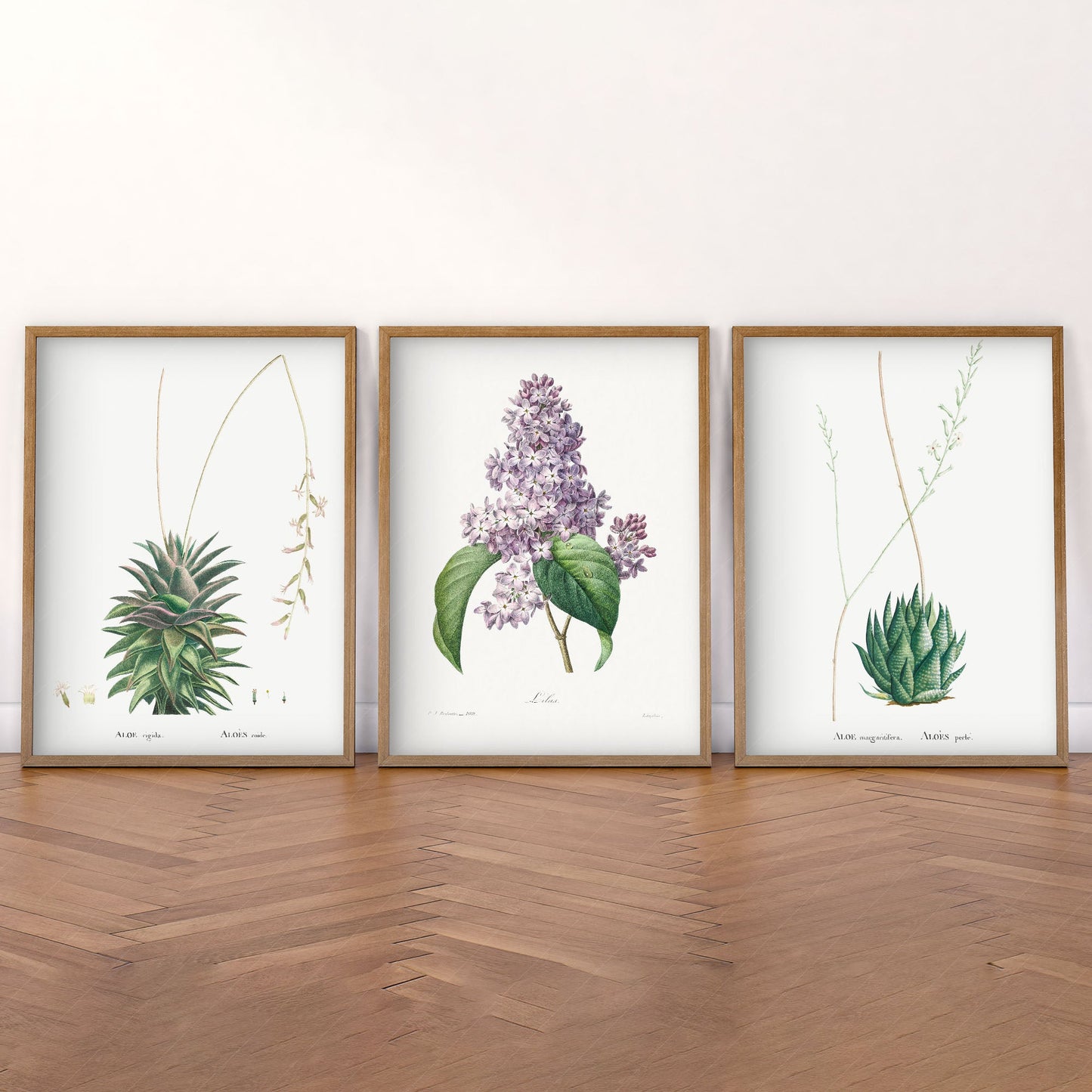 Botanical Gallery Wall Art, Set of 3 Prints, Antique Flowers Paintings 06