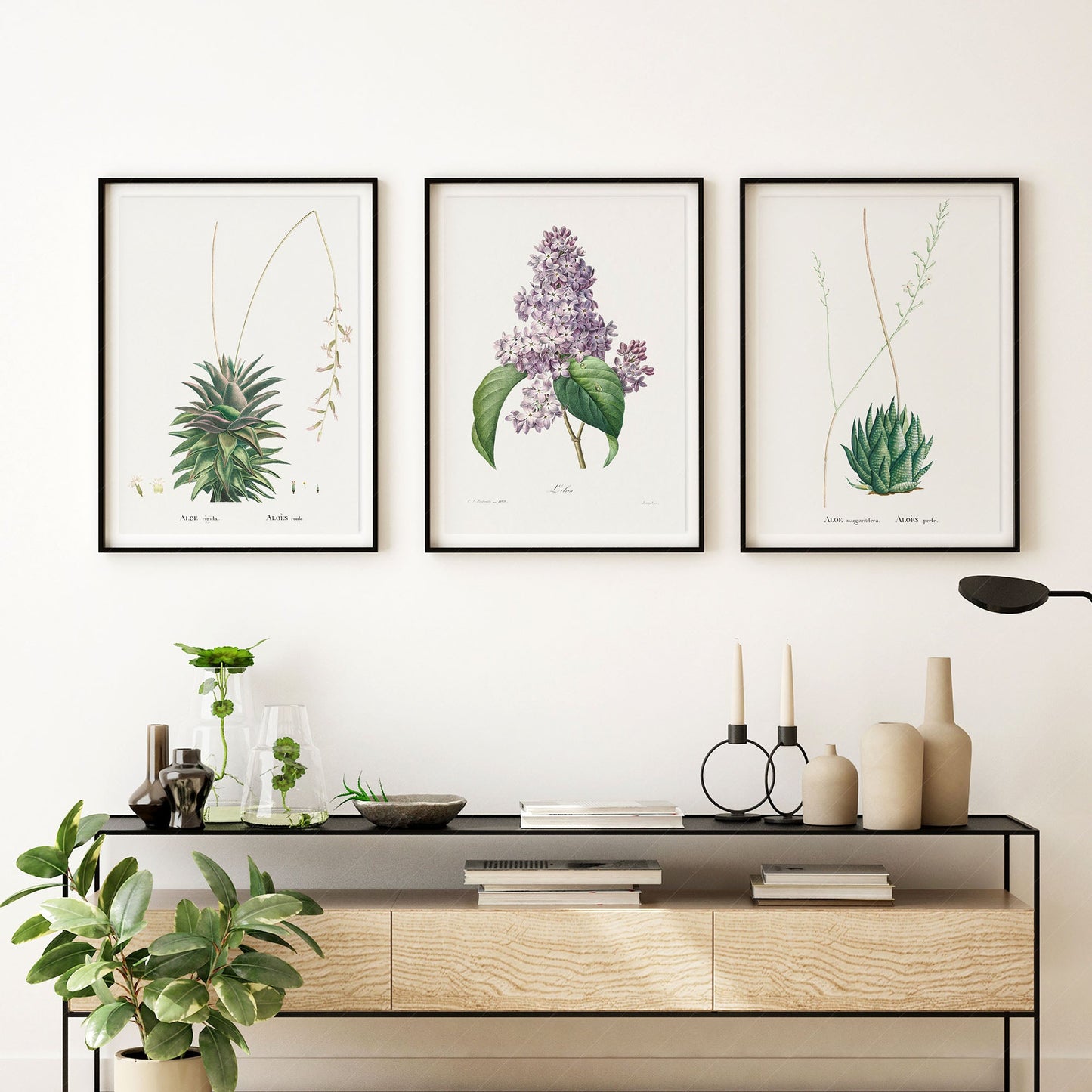Botanical Gallery Wall Art, Set of 3 Prints, Antique Flowers Paintings 06