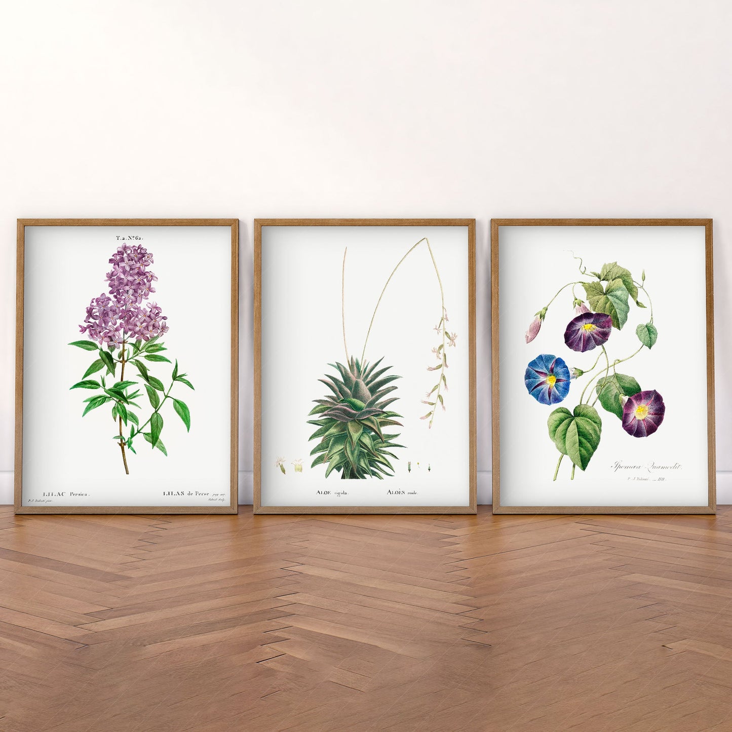 Botanical Gallery Wall Art, Set of 3 Prints, Antique Flowers Paintings 07