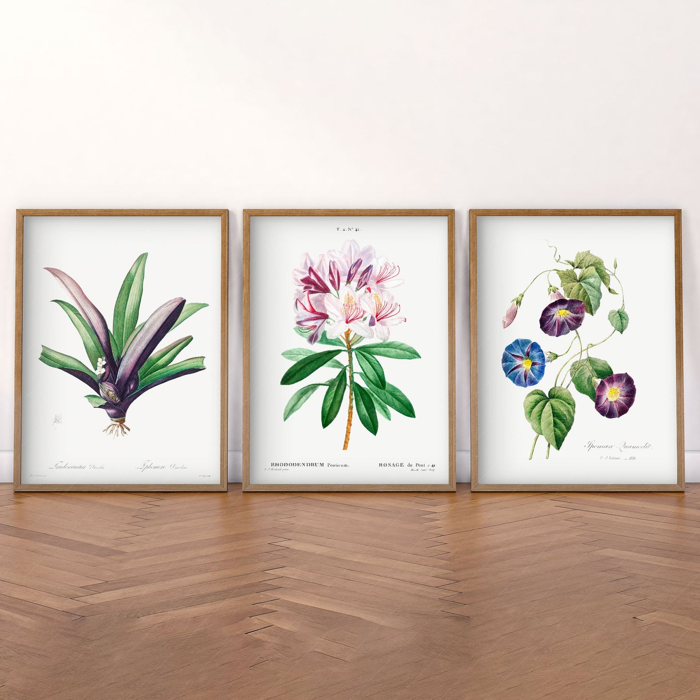 Botanical Gallery Wall Art, Set of 3 Prints, Antique Flowers Paintings 09