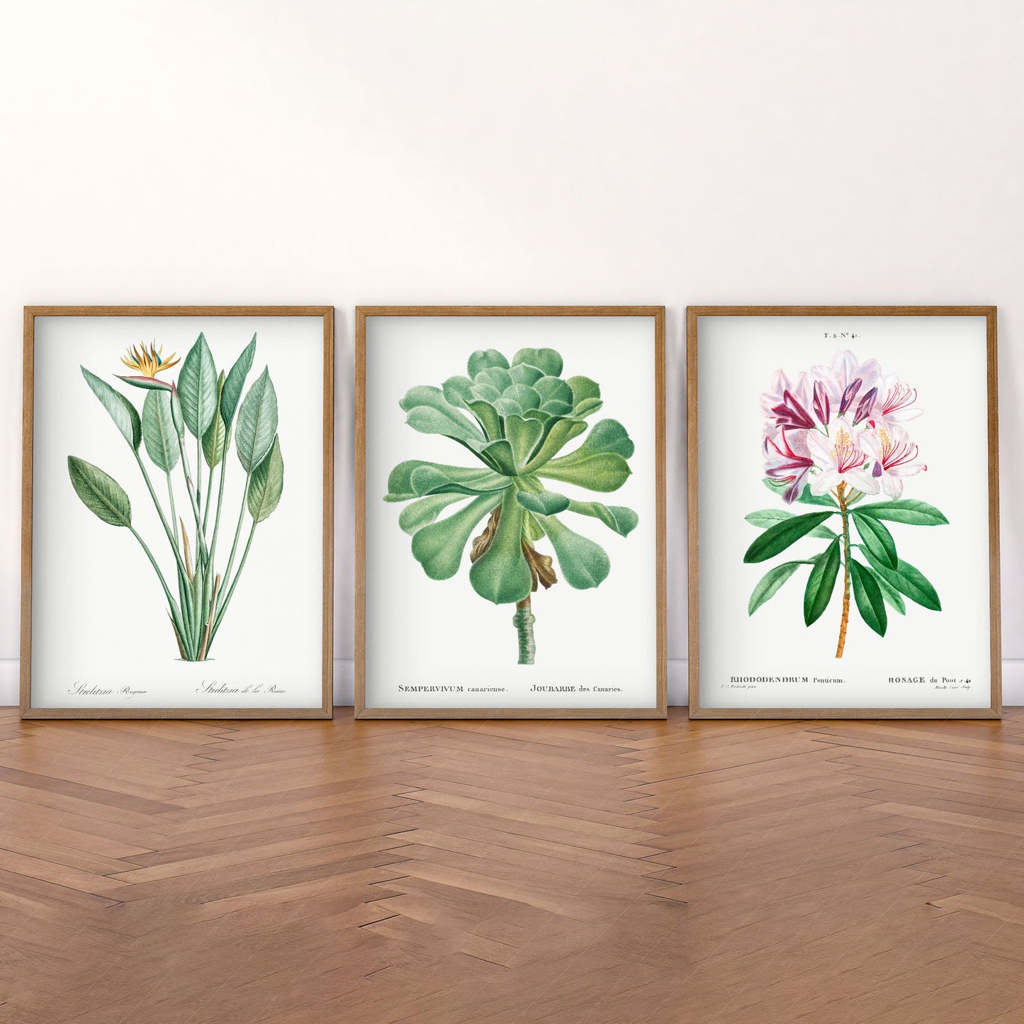 Botanical Gallery Wall Art, Set of 3 Prints, Antique Flowers Paintings 10