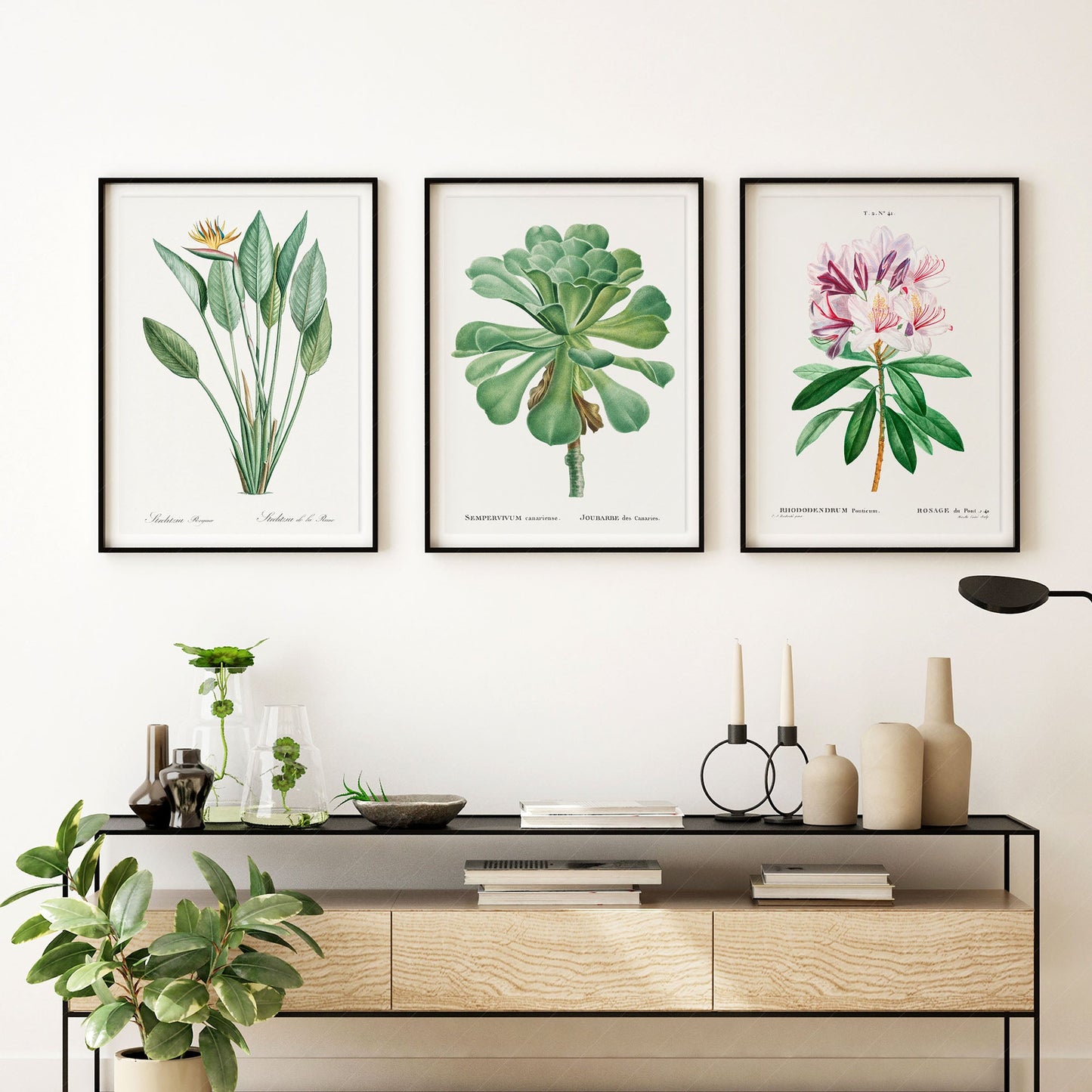 Botanical Gallery Wall Art, Set of 3 Prints, Antique Flowers Paintings 10