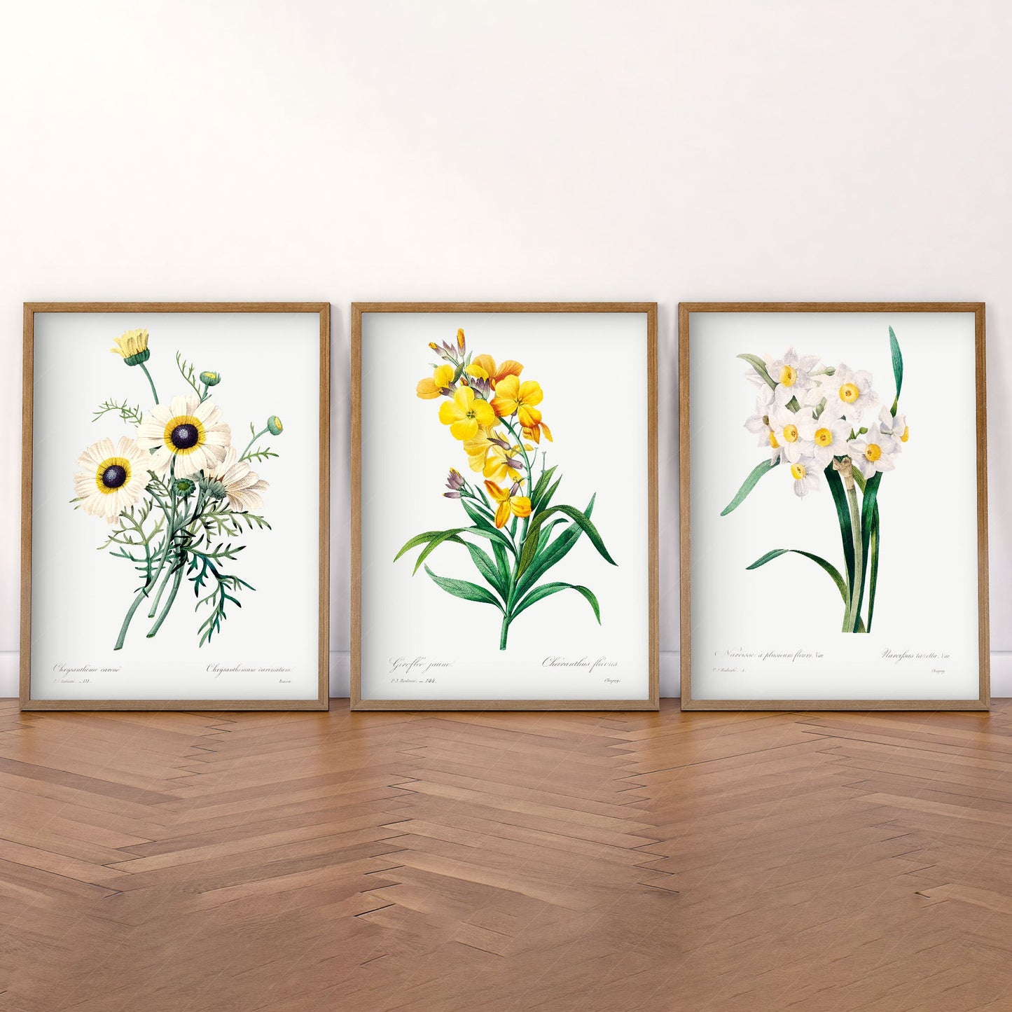 Botanical Gallery Wall, Set of 3 Prints, Antique Flower Paintings 02