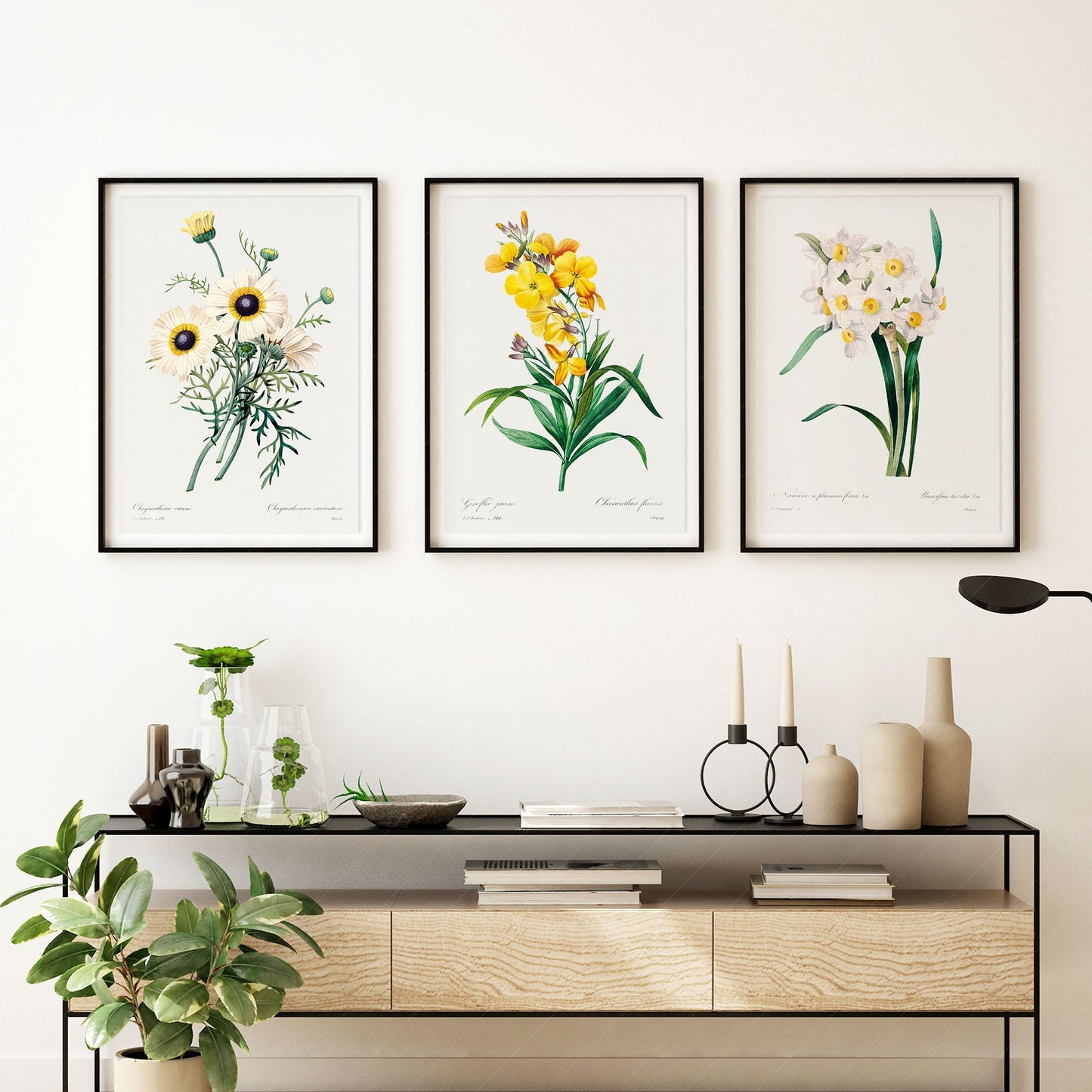 Botanical Gallery Wall, Set of 3 Prints, Antique Flower Paintings 02