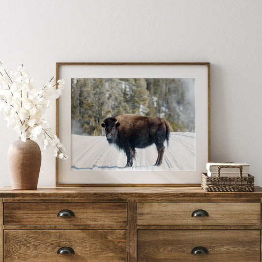 Buffalo Print, Bison Photography, Winter landscape Poster