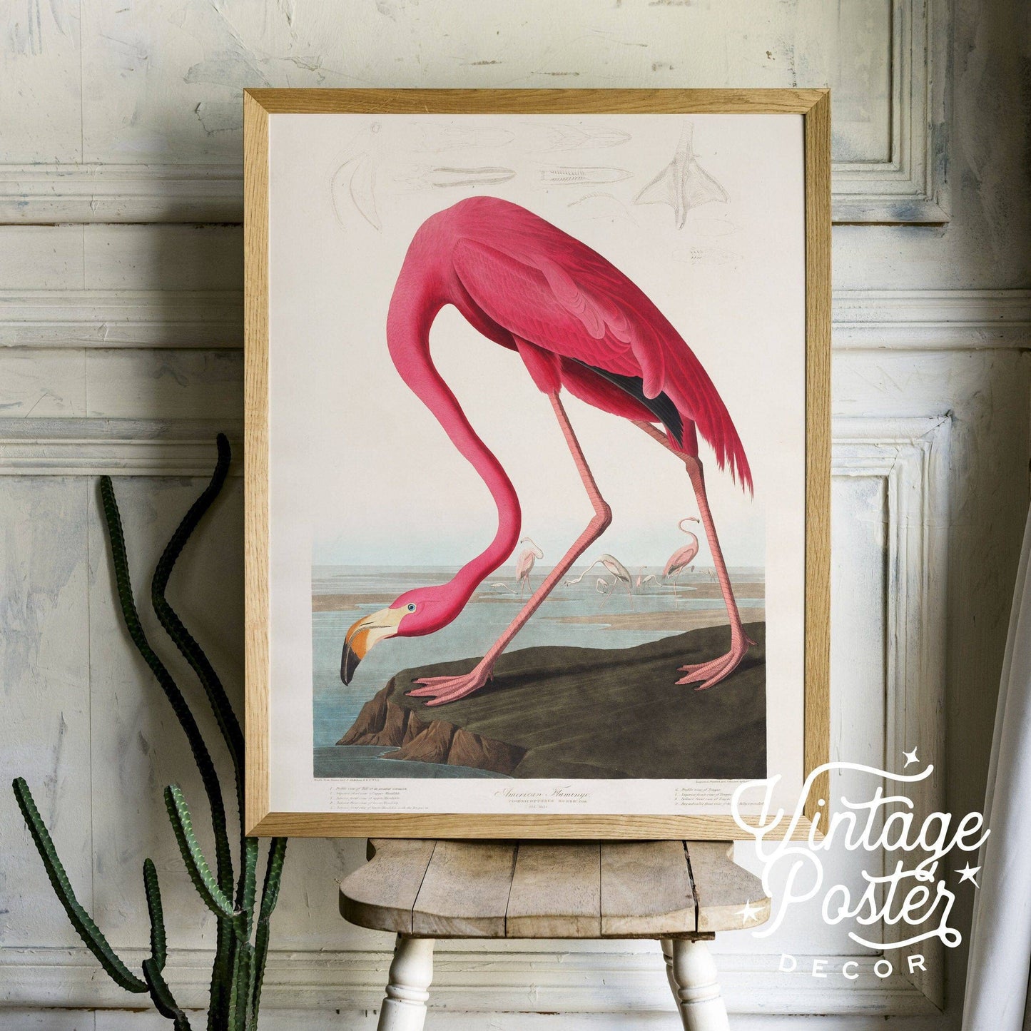 Flamingo Print by John Audubon, Antique Bird Painting