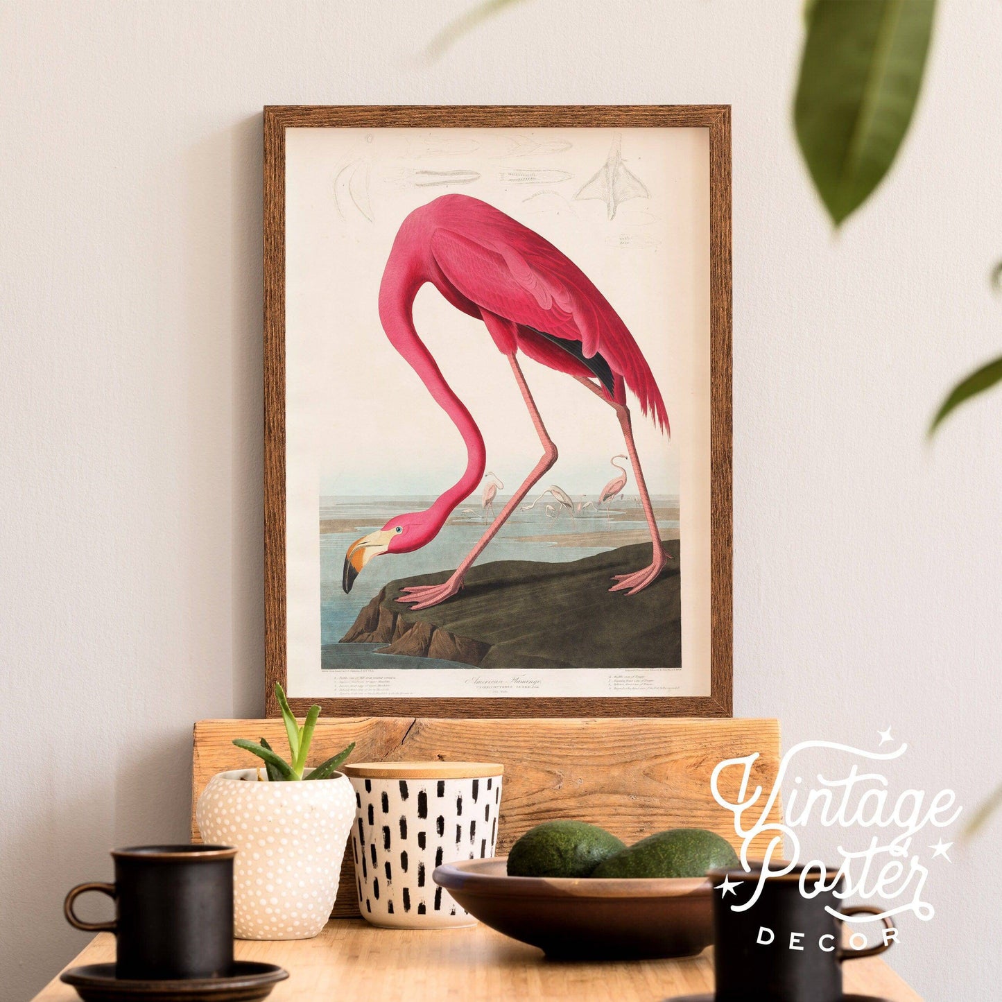 Flamingo Print by John Audubon, Antique Bird Painting