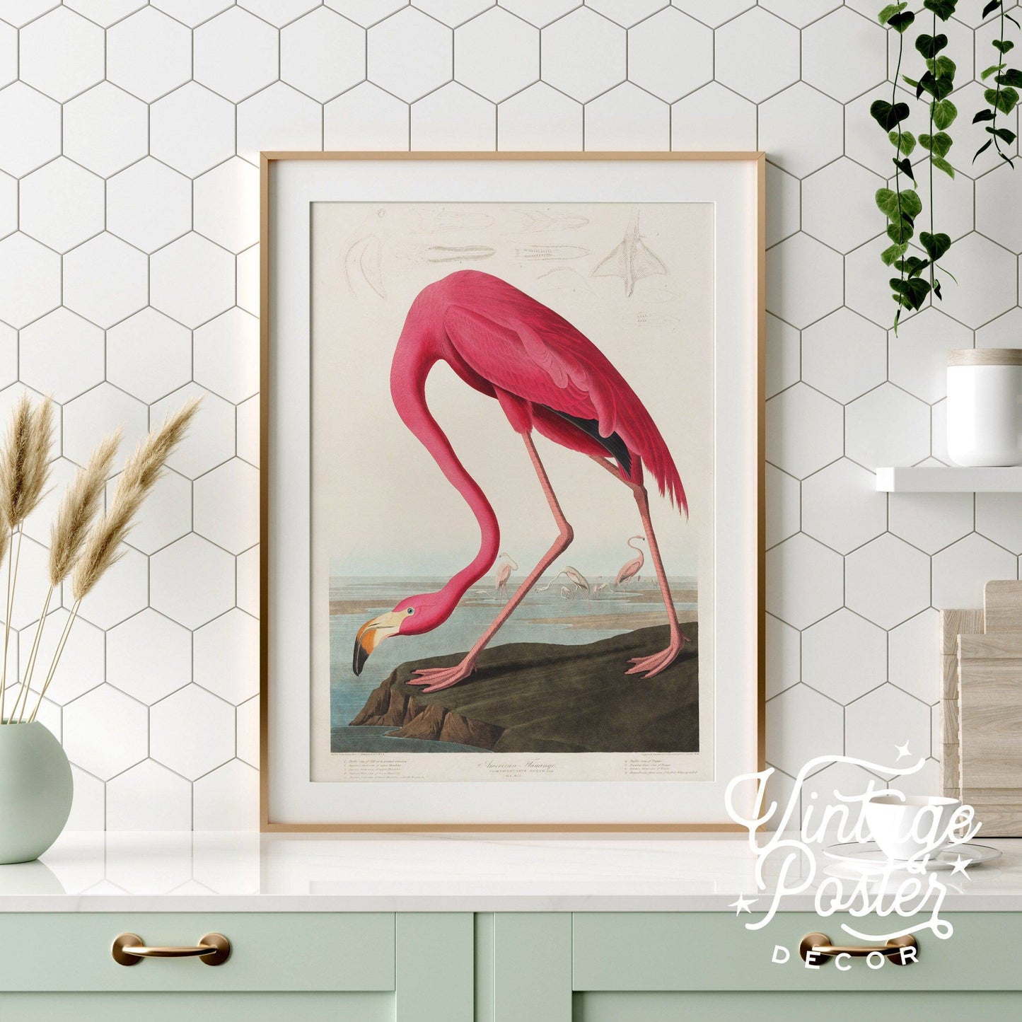Flamingo Print by John Audubon, Antique Bird Painting