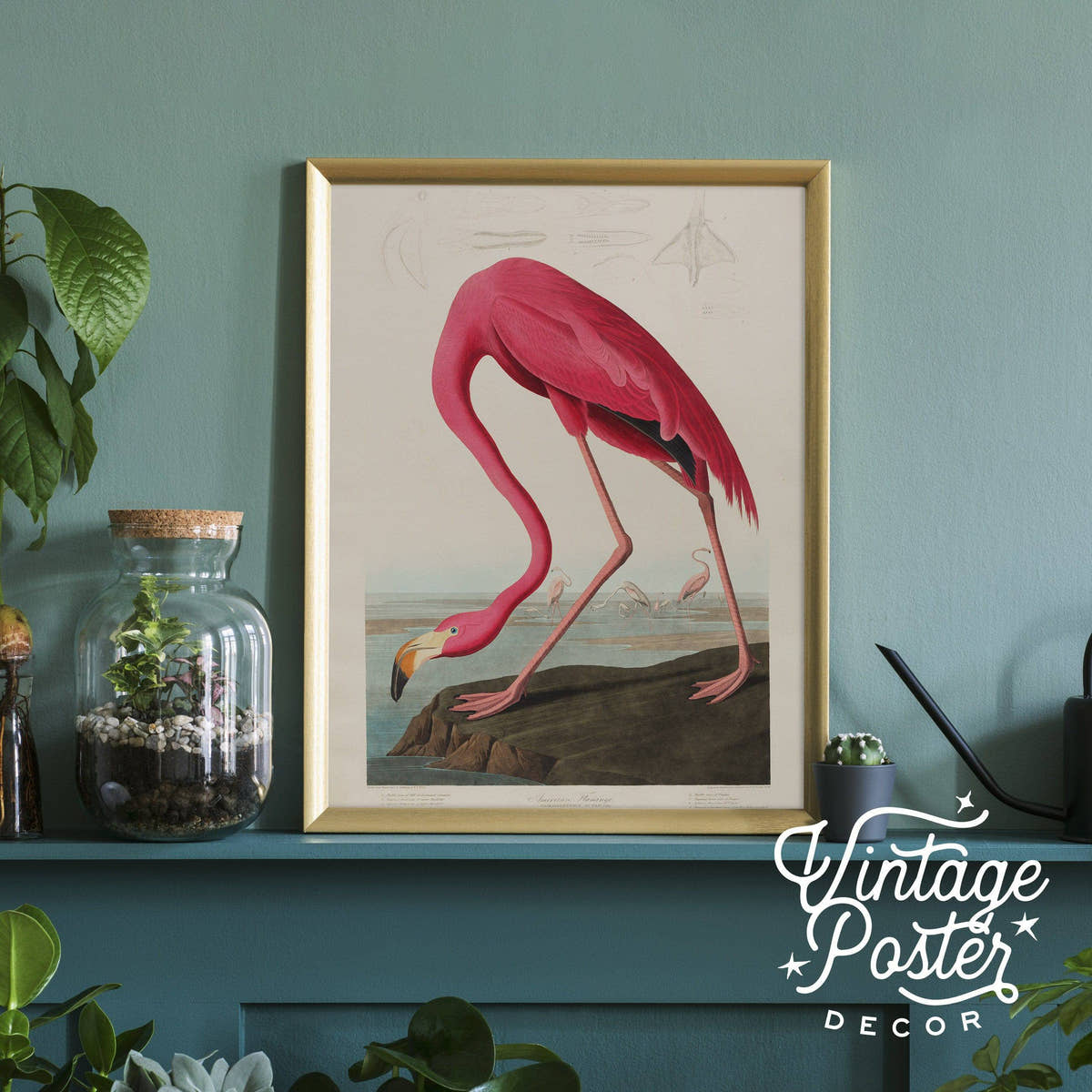 Flamingo Print by John Audubon, Antique Bird Painting
