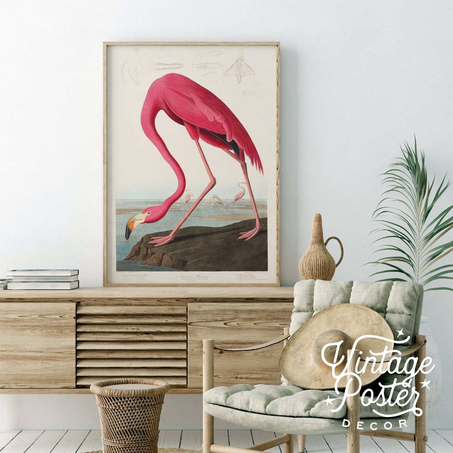 Flamingo Print by John Audubon, Antique Bird Painting