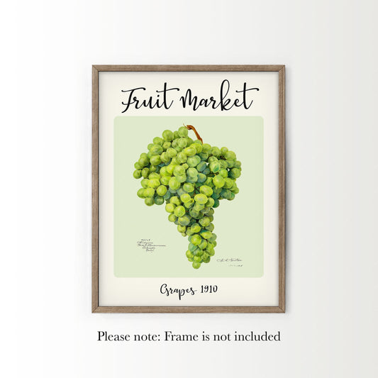 Fruit Market Print, Farmhouse Decor, Antique Grapes Painting