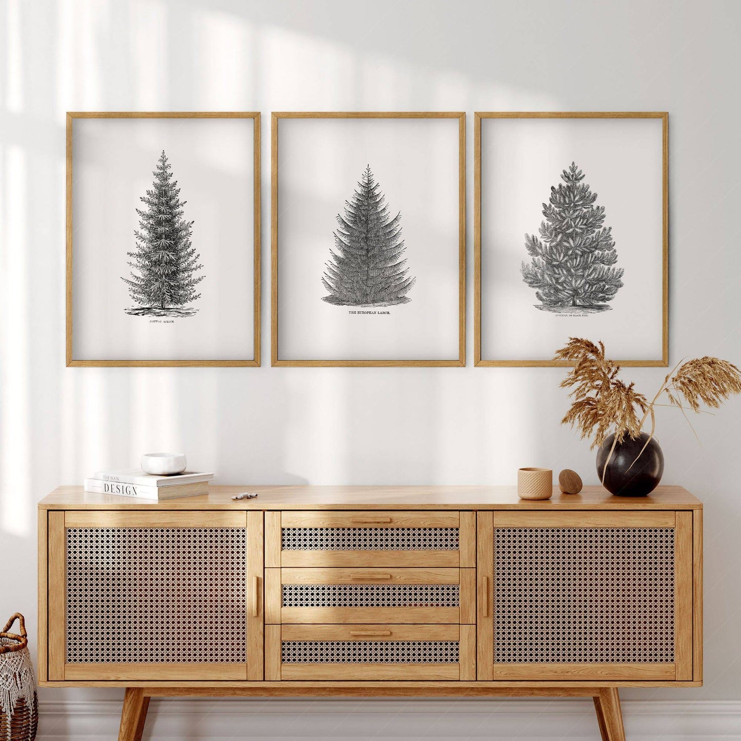 Norway Spruce Trees Wall Art, Set of 3 Prints