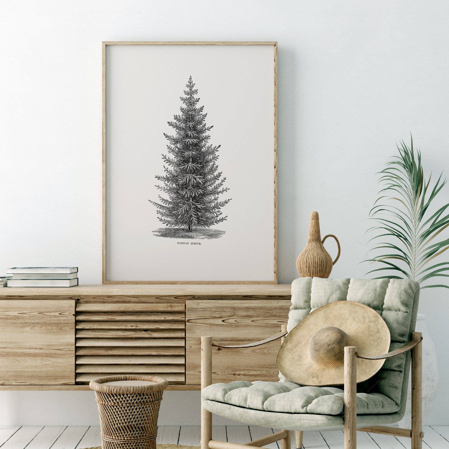Norway Spruce Tree Botanical in a light-filled Japandi-inspired living space