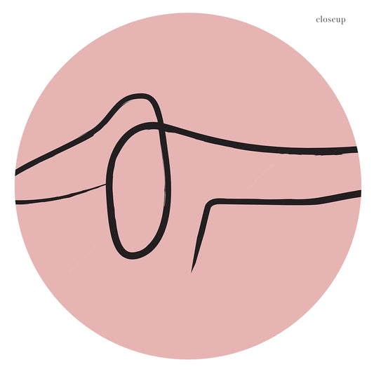 Pablo Picasso Fine Art, Dog dachshund, Pink color