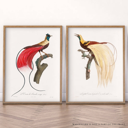 Set of Two Prints, Vintage birds wall art, Botanical Poster