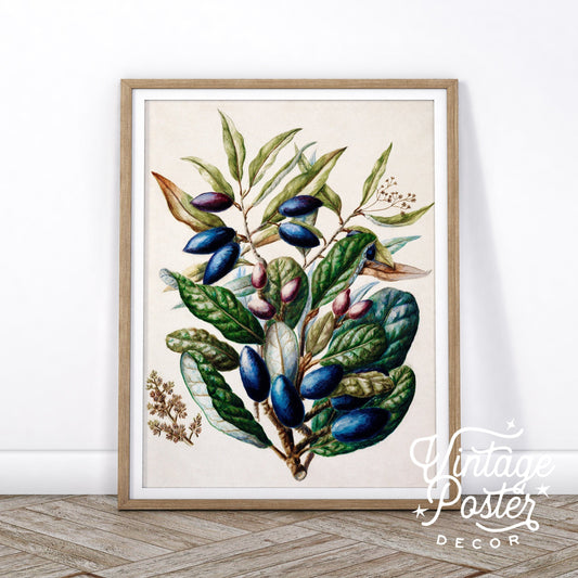 Vintage Floral Art, Antique Flower Painting