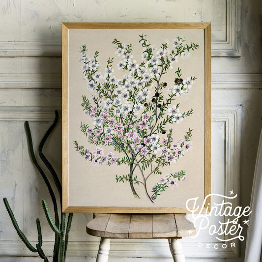 Vintage Floral Art, Antique Flower Painting