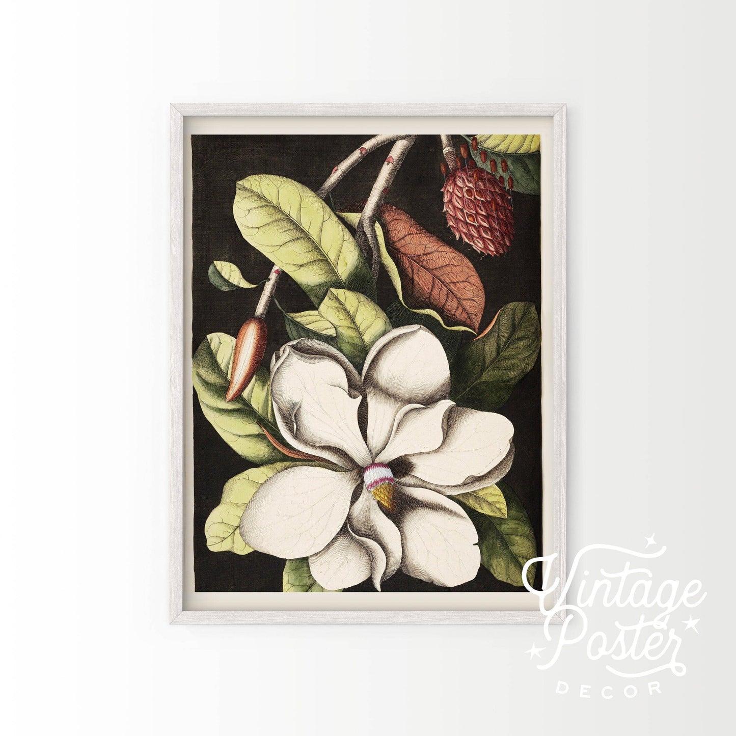 Vintage Floral Art, Antique Flower Painting