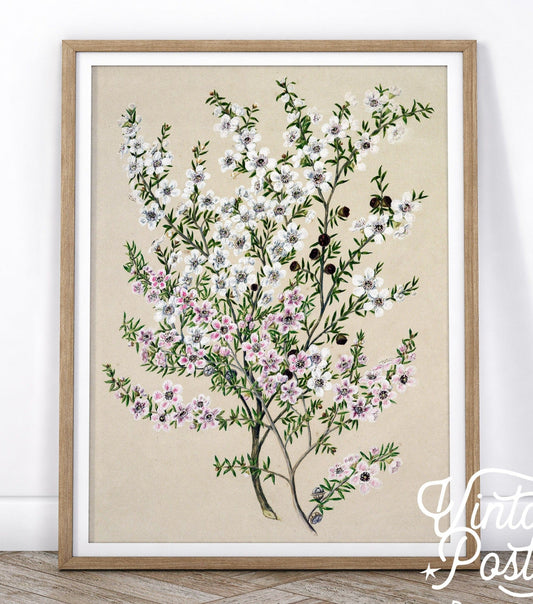 Vintage Floral Art, Antique Flower Painting