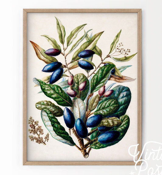 Vintage Floral Art, Antique Flower Painting