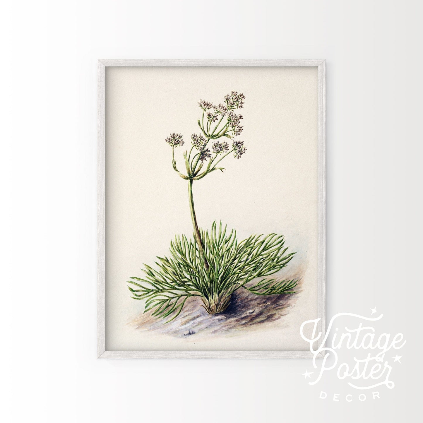 Vintage Floral Art Print, Antique Flower Painting