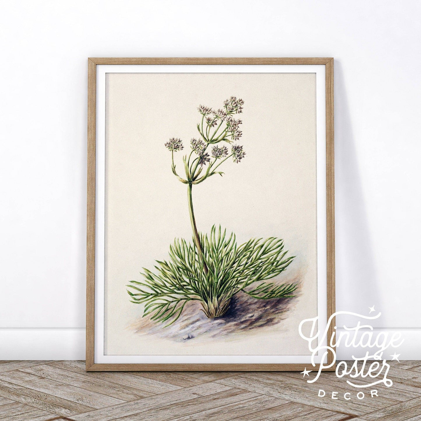 Vintage Floral Art Print, Antique Flower Painting