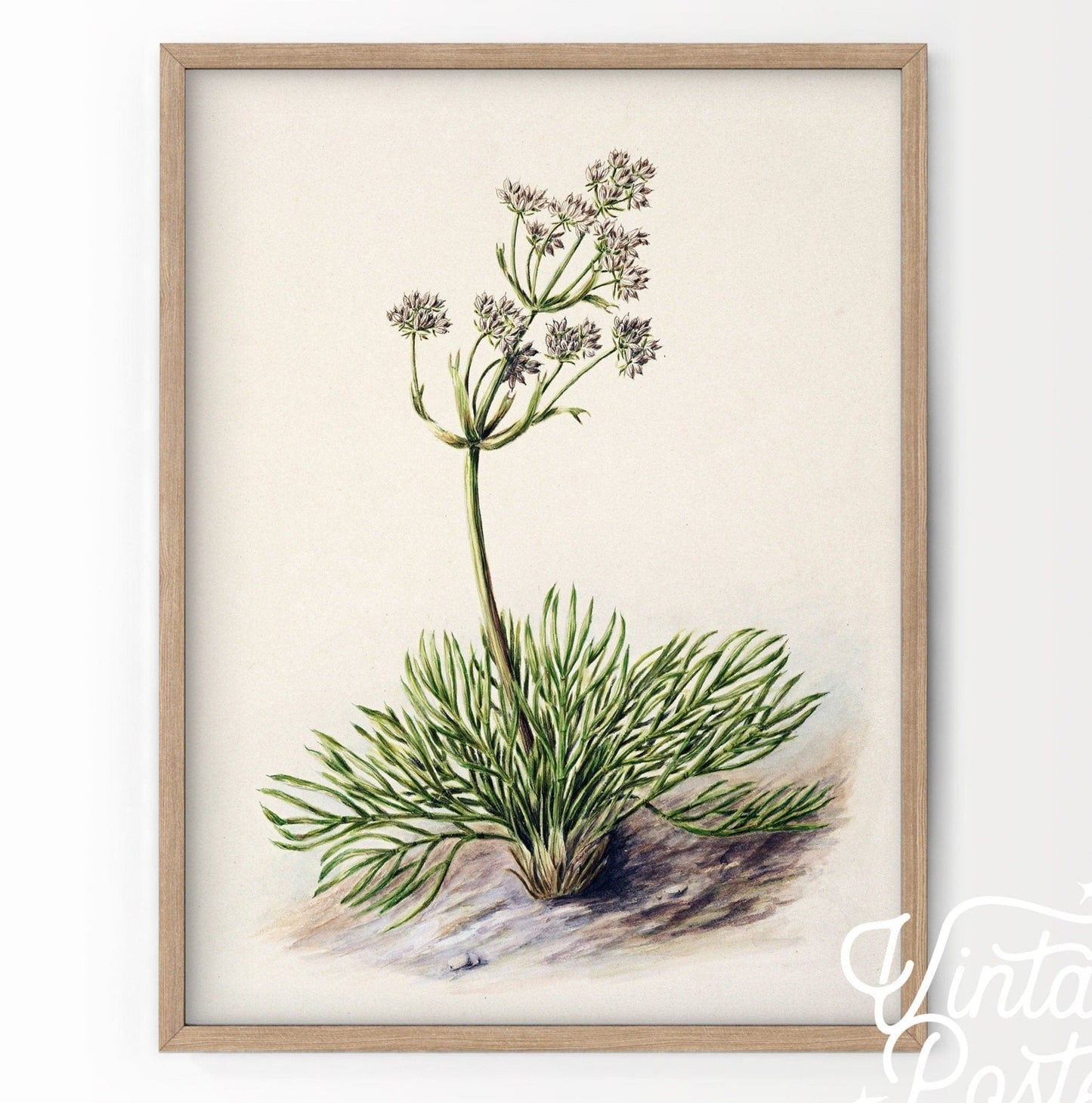 Vintage Floral Art Print, Antique Flower Painting