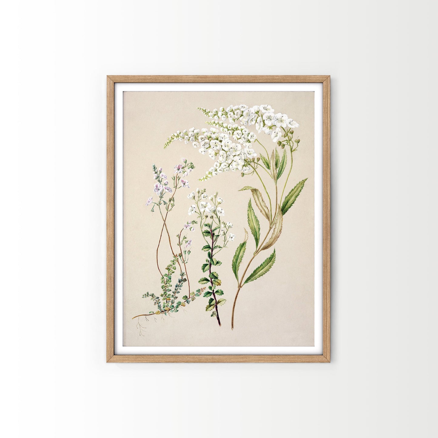 Vintage Floral Print, Botanical Wall Art