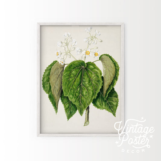 Vintage Floral Print, Botanical Wall Art 37