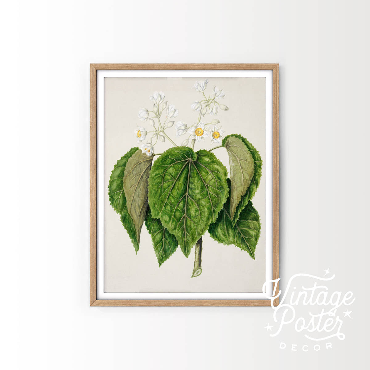 Vintage Floral Print, Botanical Wall Art 37