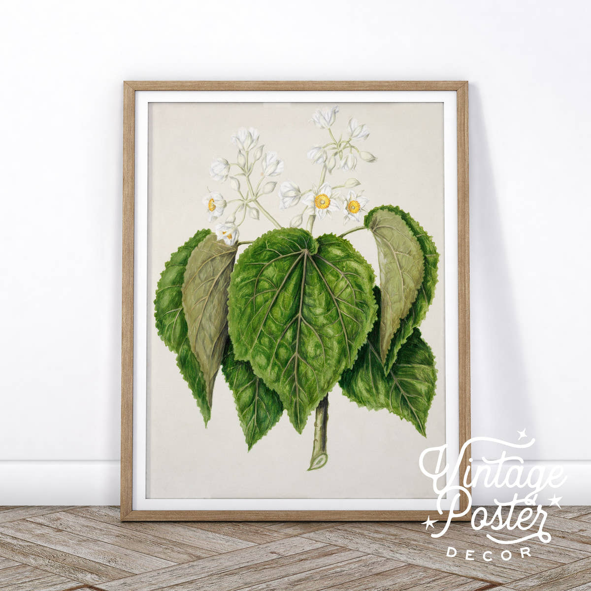 Vintage Floral Print, Botanical Wall Art 37