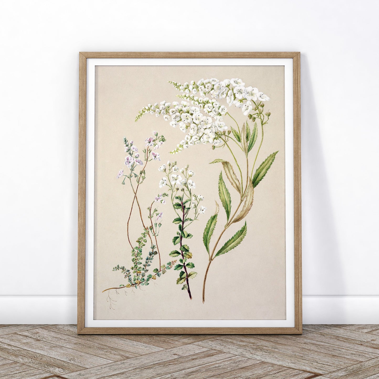 Vintage Floral Print, Botanical Wall Art