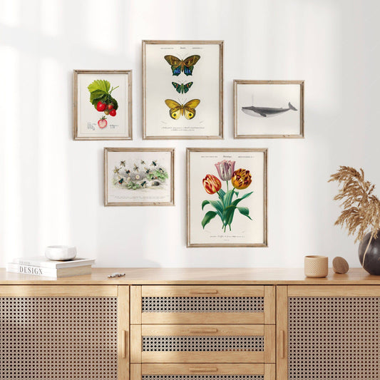 Vintage Gallery Wall, Antique Flower Print, Butterfly Art, Farmhouse Gallery, Strawberry Poster, 5 Prints, 3 in 8 x10", 2 in 11x 14" size