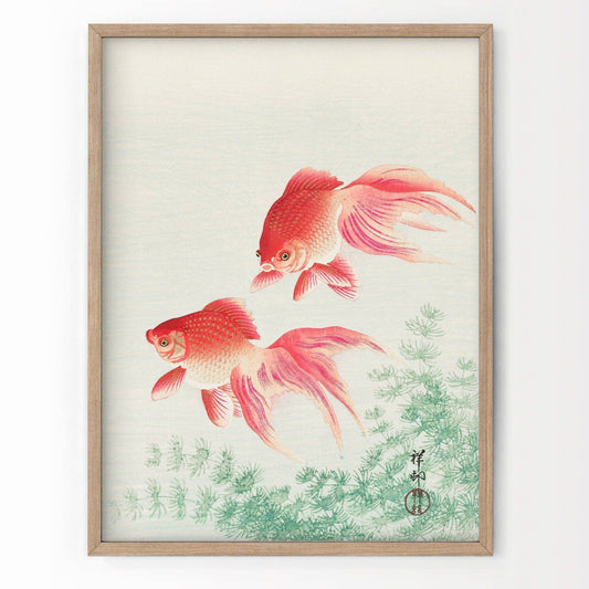Vintage Goldfish Wall Art Print