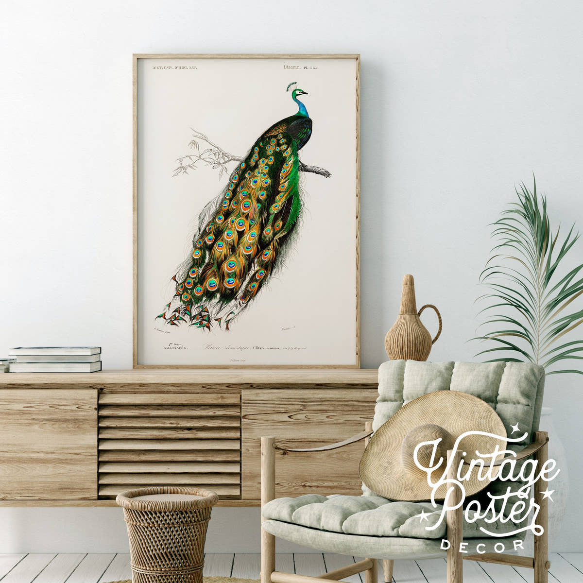 Vintage Peacock Print, Antique Birds Painting