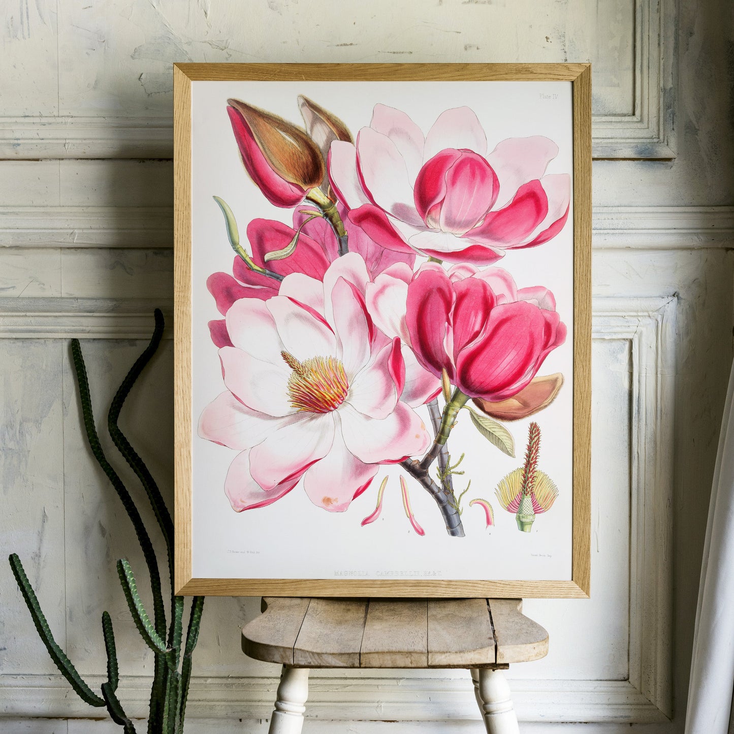 Vintage Roses Flower Print, Botanical Wall Art 06